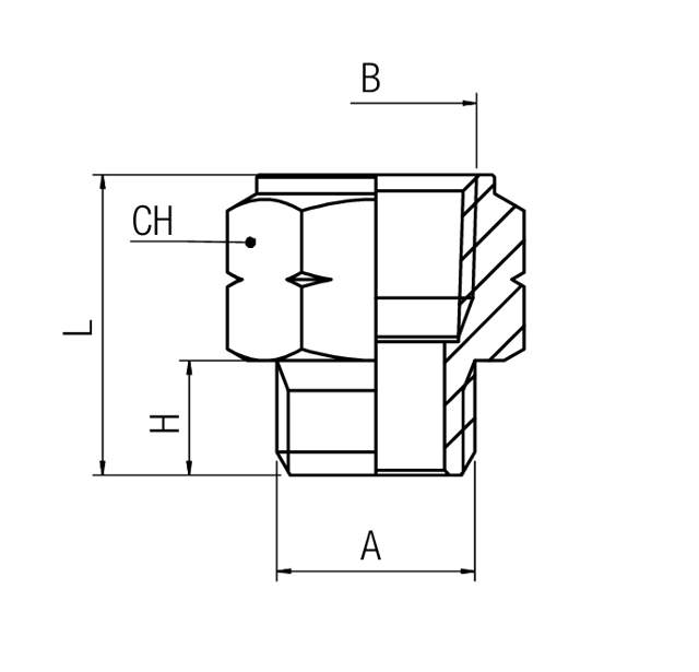 Adapternippel - NPT zu BSPP